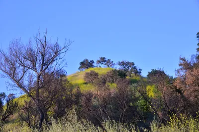 DSC_6213 (Large).JPG